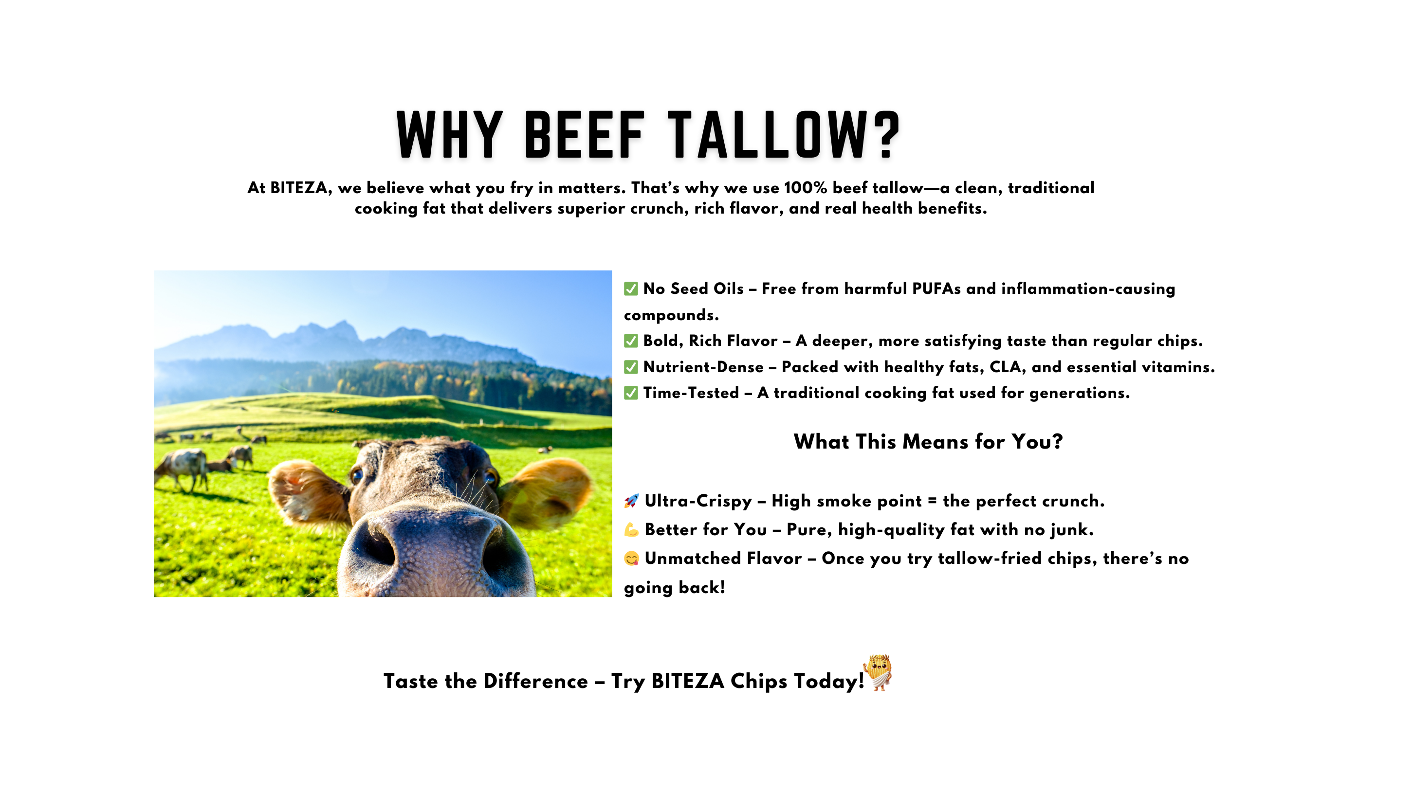 BEEF TALLOW SNACKS